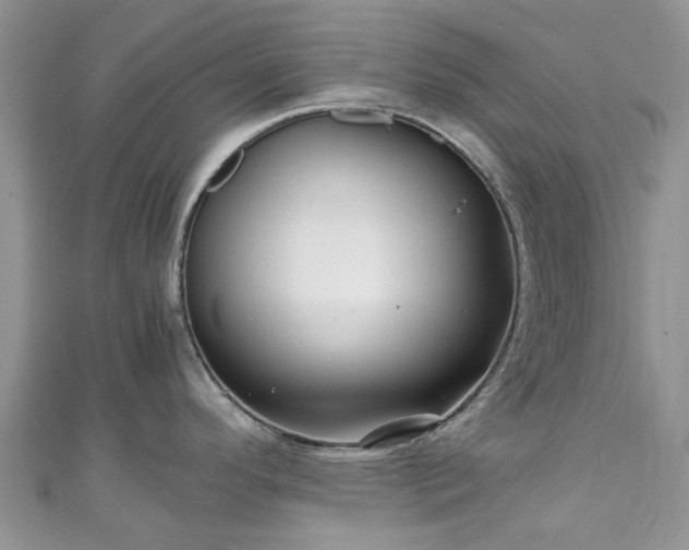 X0000111011296200906261512