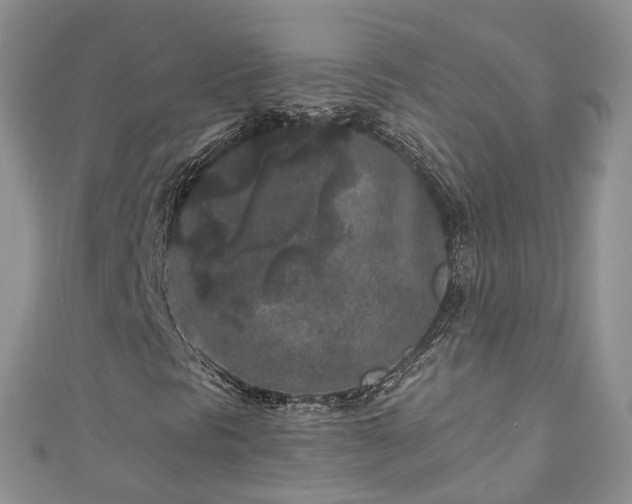 X0000111011297200906261511