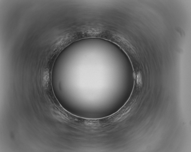 X0000111011299200906261511
