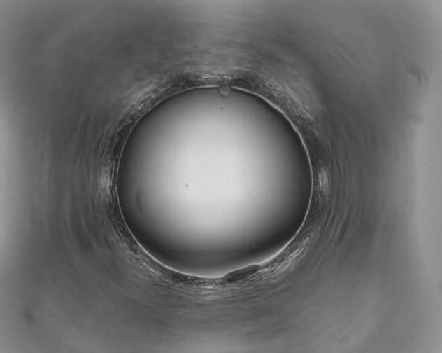 X0000111011300200906261511