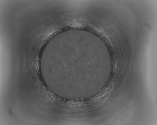 X0000111011301200906261511