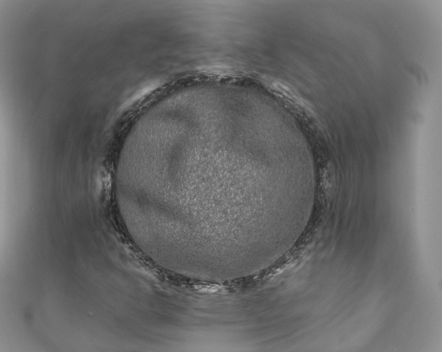 X0000111011302200906261511