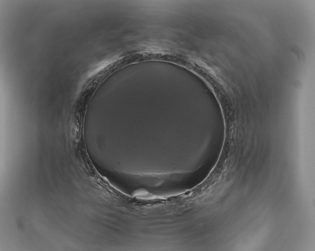 X0000111011303200906261511