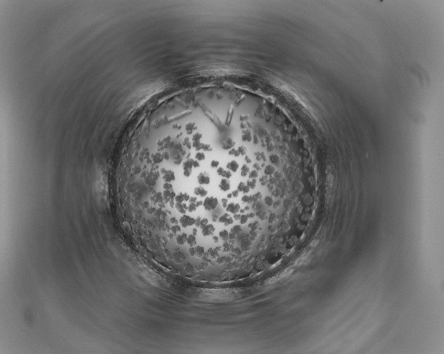 X0000111011305200906261511
