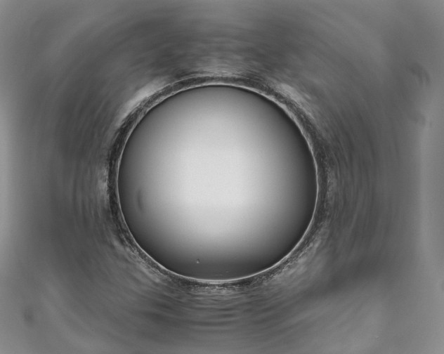 X0000111011307200906261511