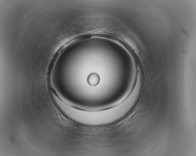 X0000111011308200906261511