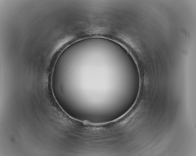 X0000111011309200906261511