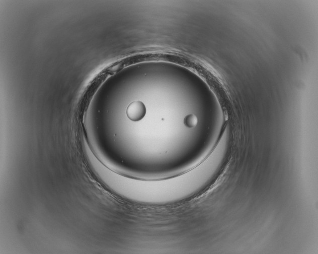X0000111011310200906261511