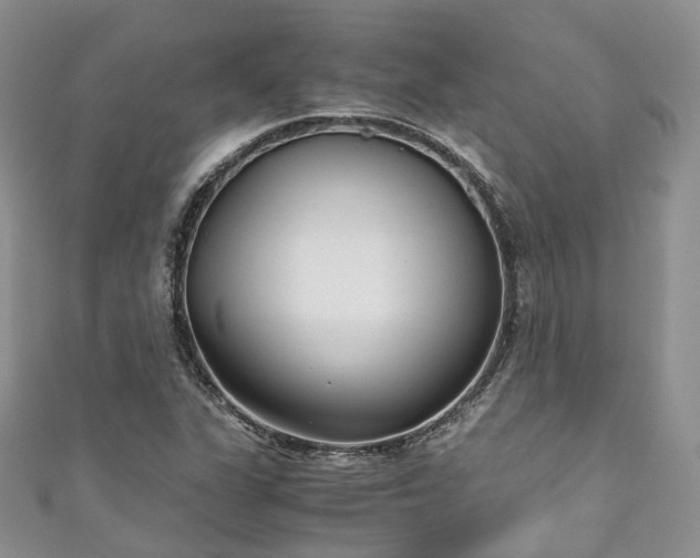 X0000111011311200906261511