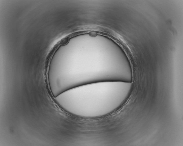 X0000111011312200906261511