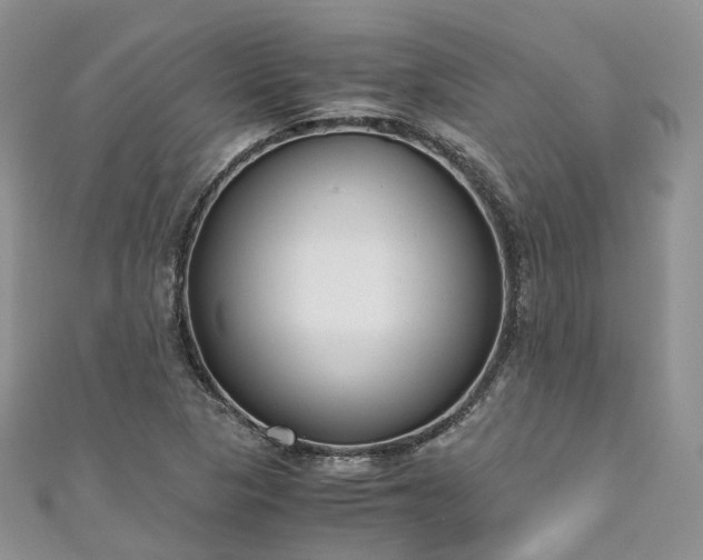 X0000111011313200906261511