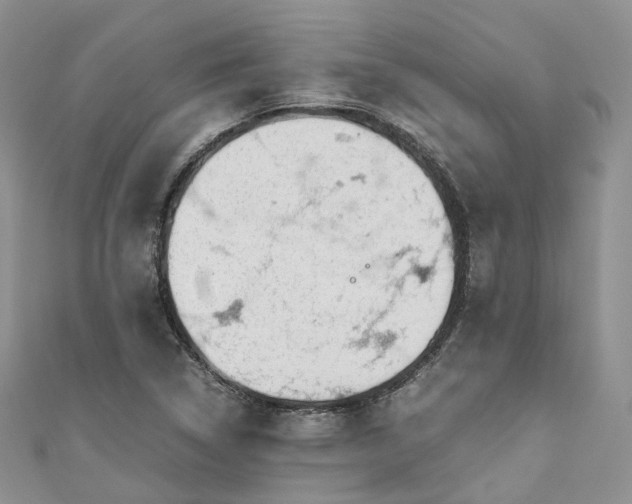 X0000111011314200906261511