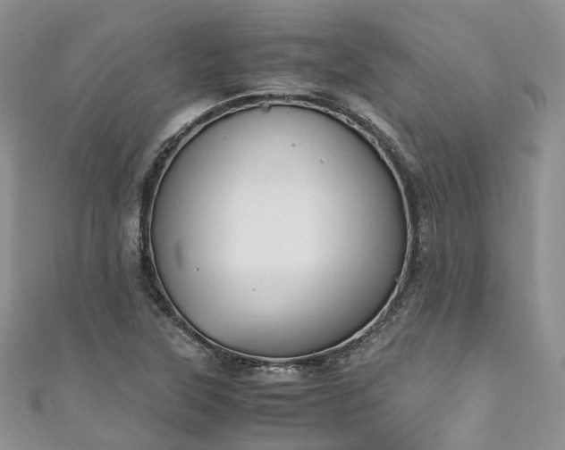 X0000111011315200906261511