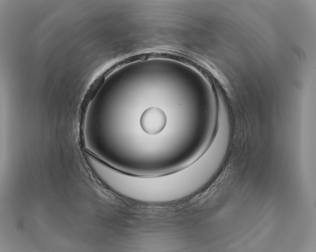 X0000111011316200906261511