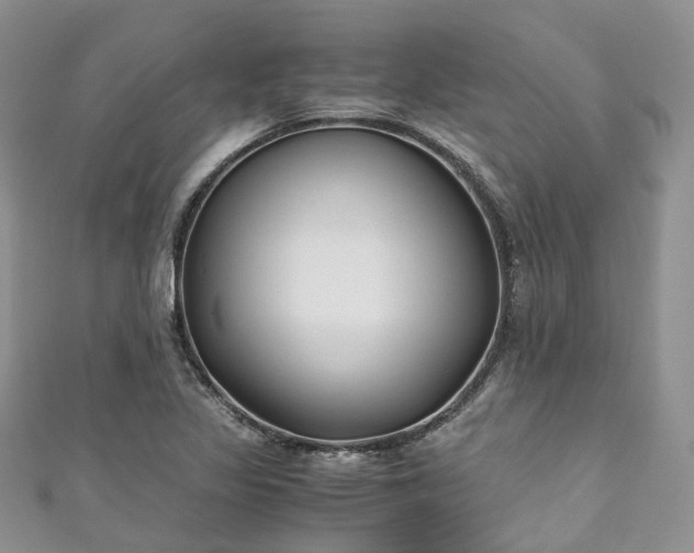 X0000111011317200906261511