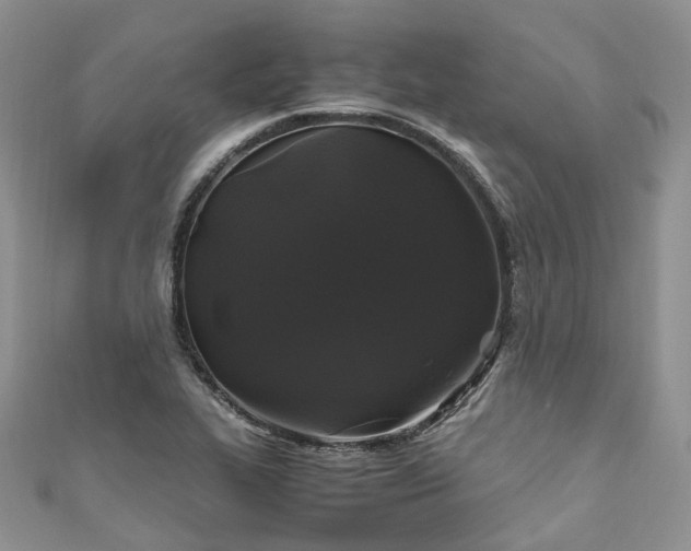 X0000111011319200906261511