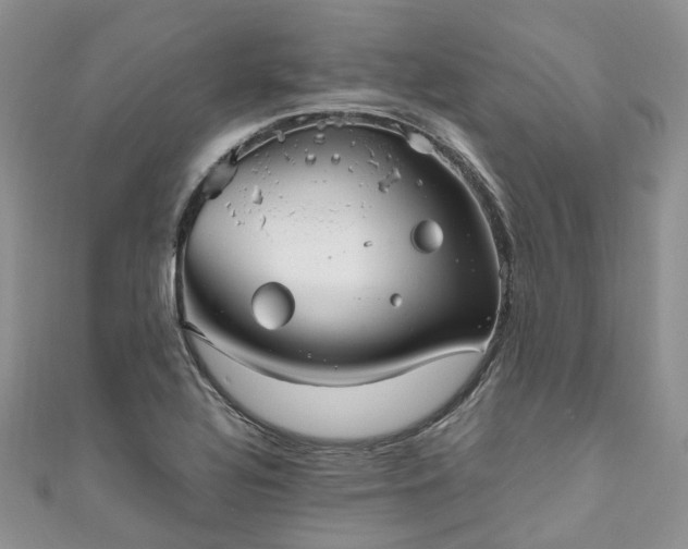 X0000111011320200906261511