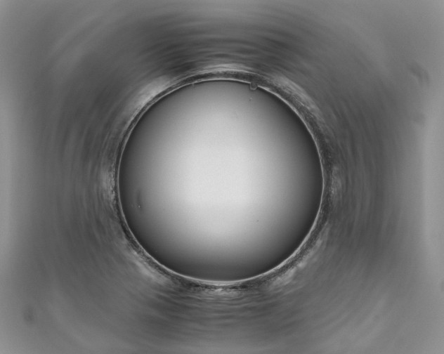 X0000111011321200906261511