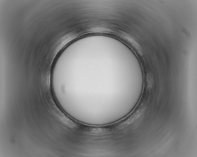 X0000111011322200906261511