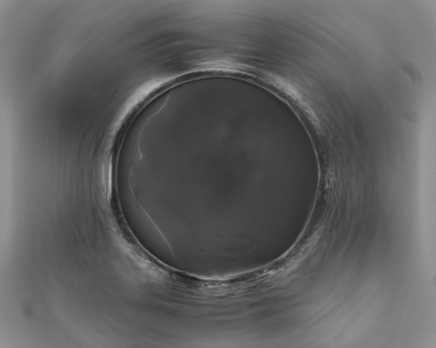 X0000111011323200906261511