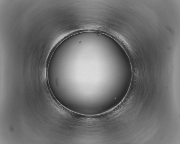 X0000111011324200906261511