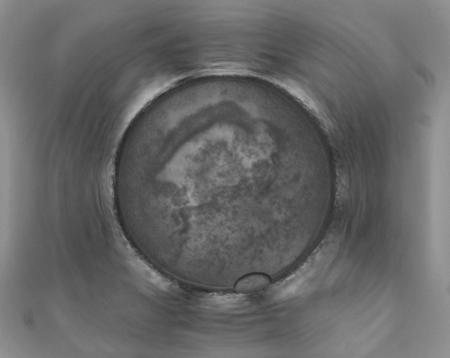 X0000111011325200906261511