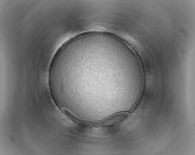 X0000111011326200906261511