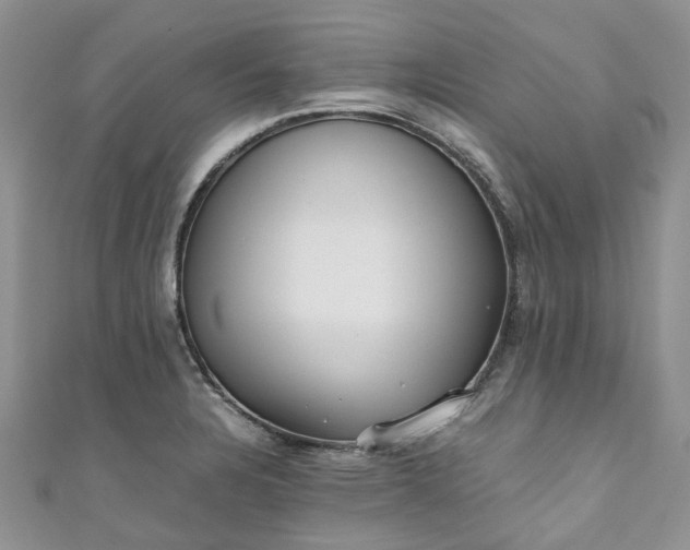 X0000111011328200906261511