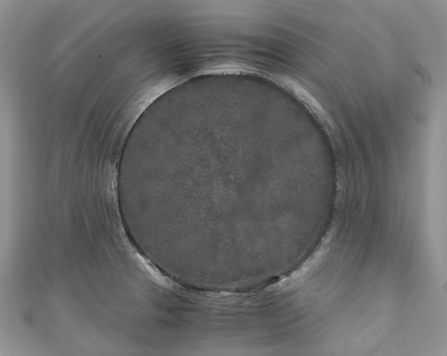 X0000111011329200906261511