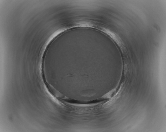 X0000111011331200906261511