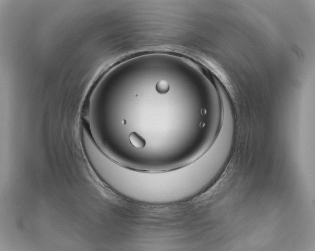 X0000111011332200906261511