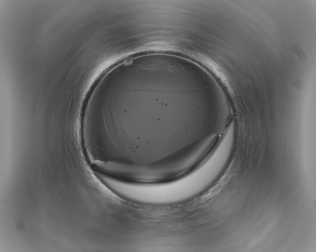 X0000111011334200906261511
