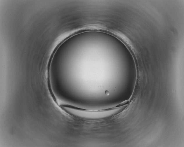 X0000111011335200906261512