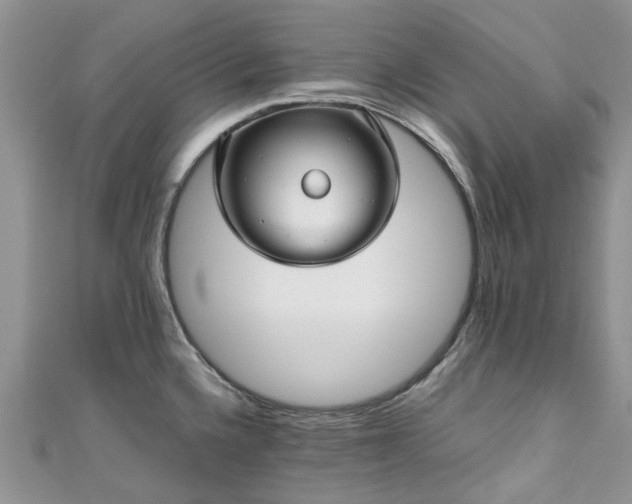 X0000111011336200906261512