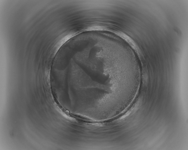 X0000111011337200906261512