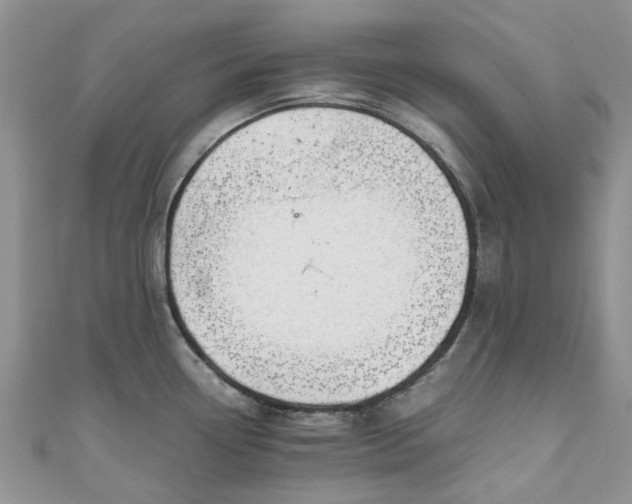 X0000111011338200906261512