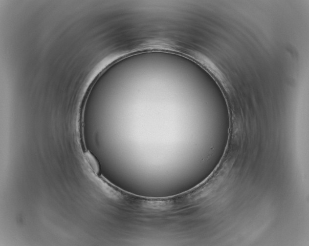 X0000111011339200906261512
