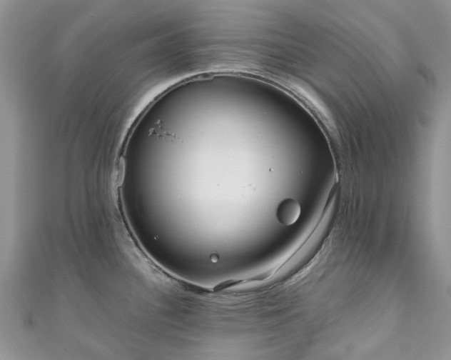 X0000111011340200906261512