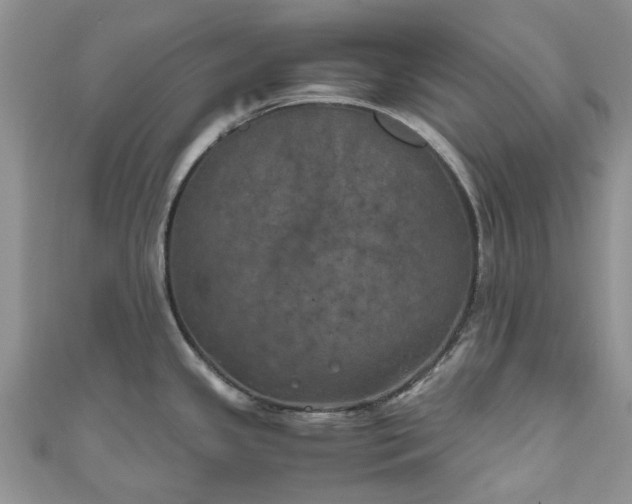 X0000111011341200906261512