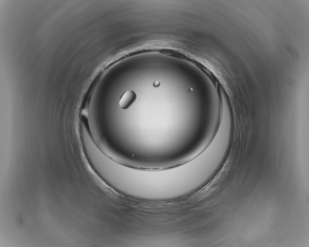 X0000111011342200906261512