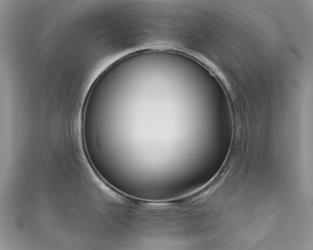 X0000111011343200906261512