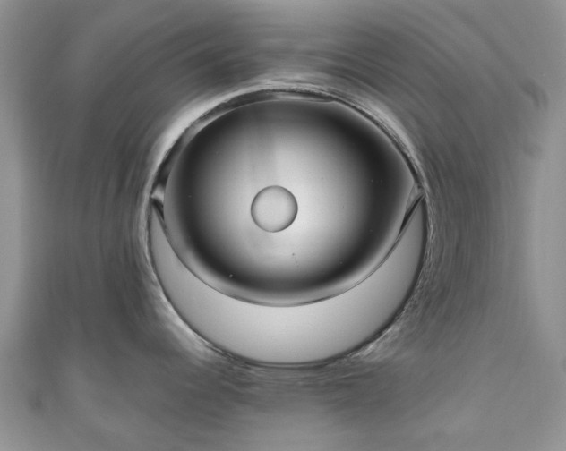 X0000111011344200906261512