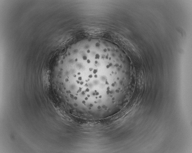 X0000111011346200906261511