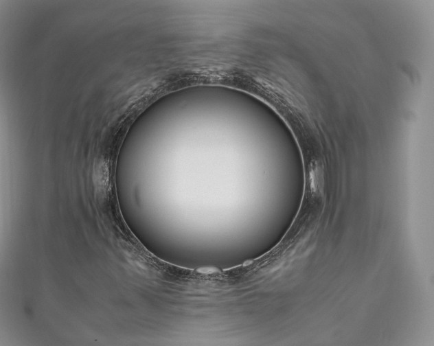 X0000111011347200906261511