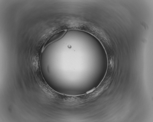 X0000111011348200906261511