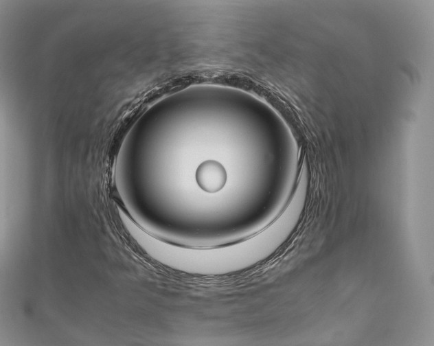 X0000111011349200906261511