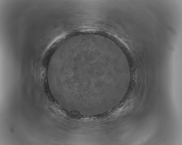 X0000111011351200906261511