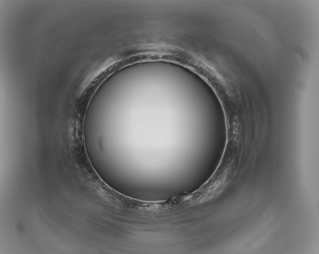 X0000111011352200906261511