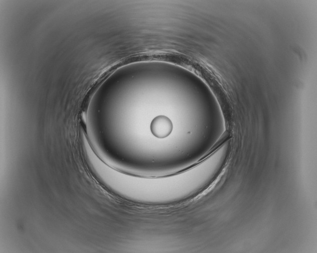 X0000111011353200906261511