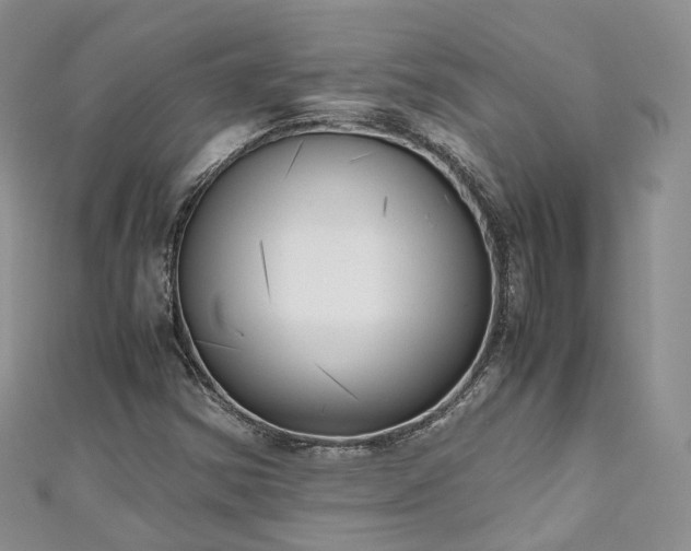 X0000111011354200906261511